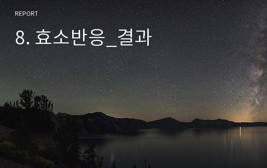 8. 효소반응_결과