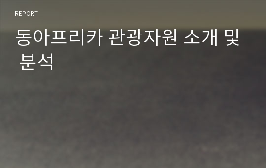 동아프리카 관광자원 소개 및 분석