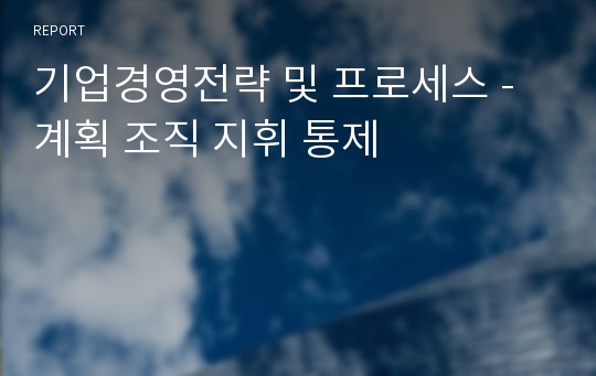 기업경영전략 및 프로세스 - 계획 조직 지휘 통제