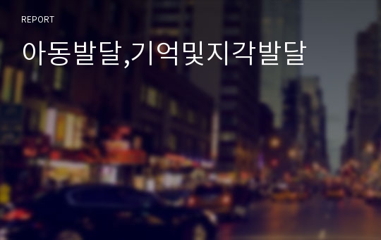 아동발달,기억및지각발달