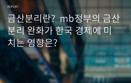 금산분리란?  mb정부의 금산분리 완화가 한국 경제에 미치는 영향은?