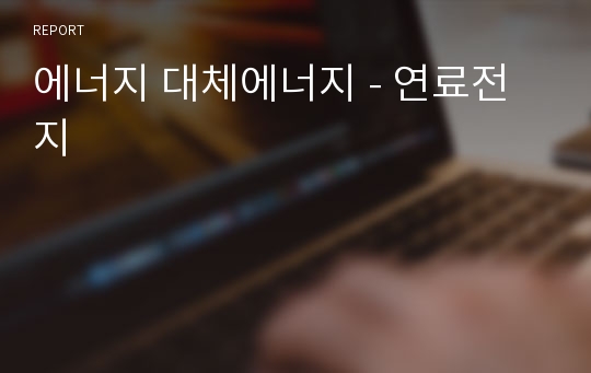 에너지 대체에너지 - 연료전지