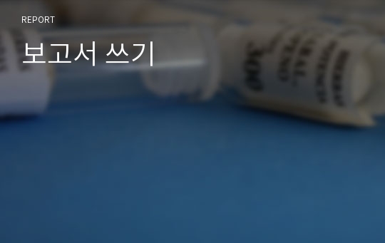 보고서 쓰기