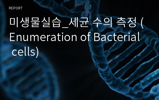 미생물실습_세균 수의 측정 (Enumeration of Bacterial cells)