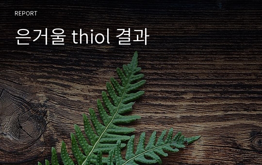 은거울 thiol 결과