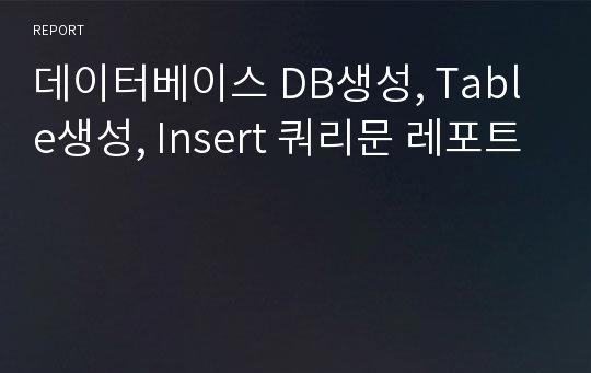 데이터베이스 DB생성, Table생성, Insert 쿼리문 레포트