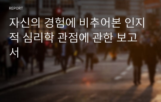 자신의 경험에 비추어본 인지적 심리학 관점에 관한 보고서