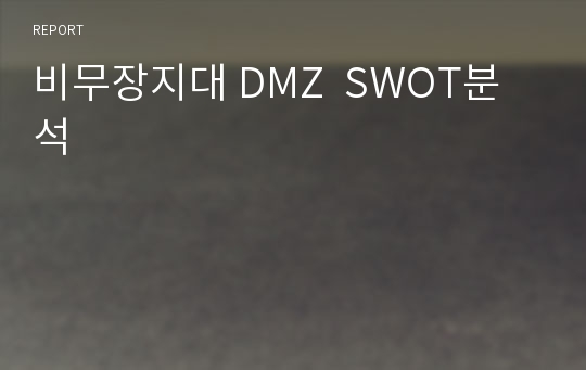 비무장지대 DMZ  SWOT분석