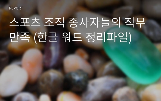 스포츠 조직 종사자들의 직무만족 (한글 워드 정리파일)