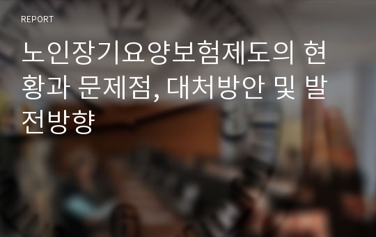 노인장기요양보험제도의 현황과 문제점, 대처방안 및 발전방향