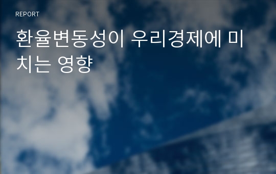 환율변동성이 우리경제에 미치는 영향