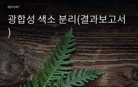 광합성 색소 분리(결과보고서)