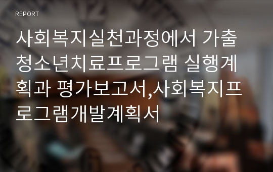 사회복지실천과정에서 가출청소년치료프로그램 실행계획과 평가보고서,사회복지프로그램개발계획서