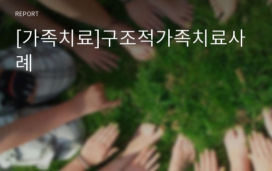 [가족치료]구조적가족치료사례