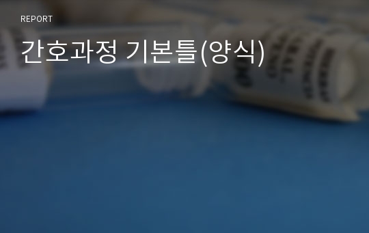 간호과정 기본틀(양식)