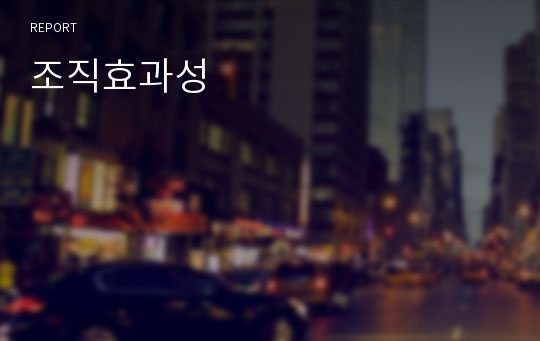 조직효과성