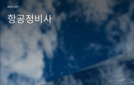 항공정비사