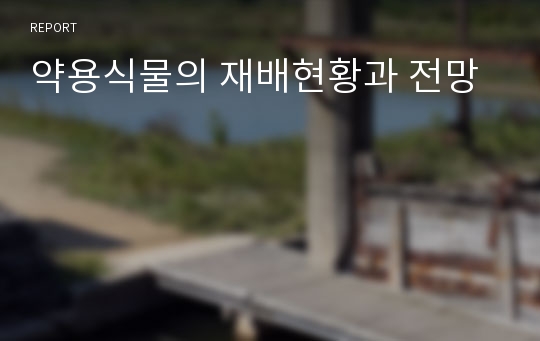 약용식물의 재배현황과 전망