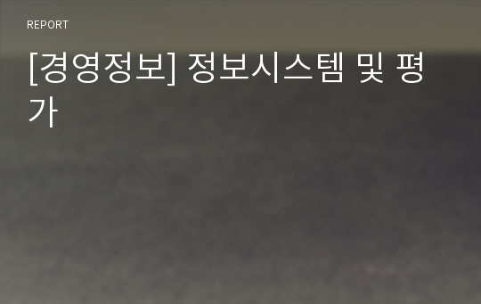 [경영정보] 정보시스템 및 평가