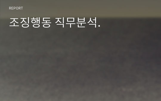 조징행동 직무분석.