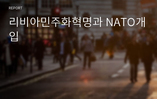 리비아민주화혁명과 NATO개입