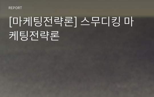 [마케팅전략론] 스무디킹 마케팅전략론