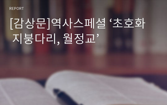 [감상문]역사스페셜 ‘초호화 지붕다리, 월정교’