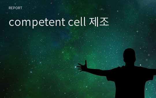 competent cell 제조