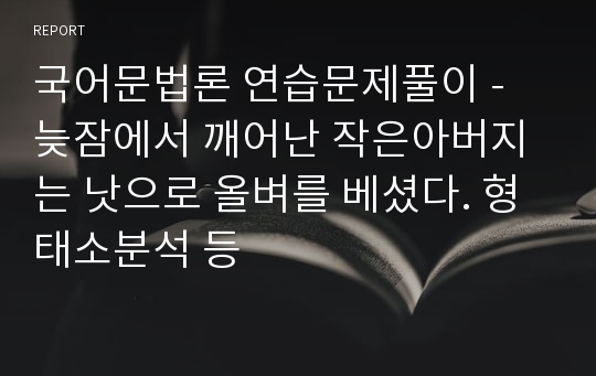 국어문법론 연습문제풀이 - 늦잠에서 깨어난 작은아버지는 낫으로 올벼를 베셨다. 형태소분석 등