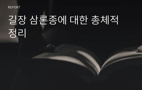 길장 삼론종에 대한 총체적 정리