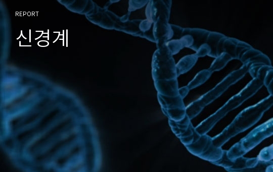 신경계