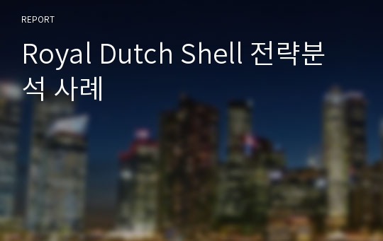 Royal Dutch Shell 전략분석 사례