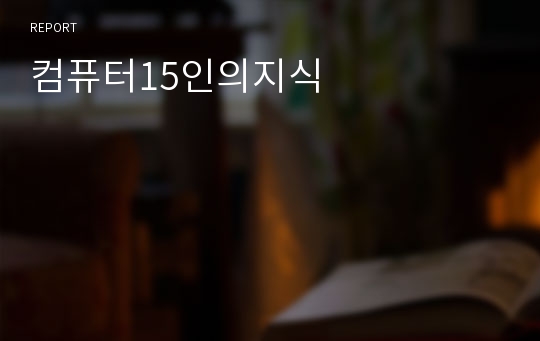 컴퓨터15인의지식