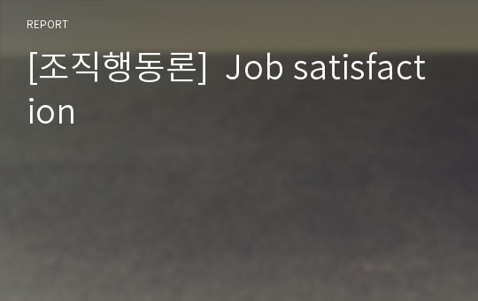 [조직행동론]  Job satisfaction