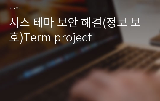 시스 테마 보안 해결(정보 보호)Term project