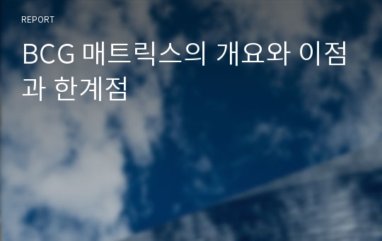 BCG 매트릭스의 개요와 이점과 한계점