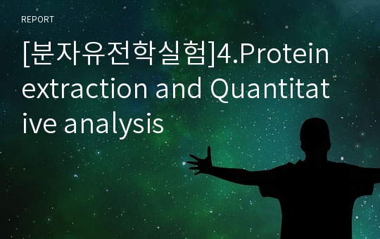 [분자유전학실험]4.Protein extraction and Quantitative analysis