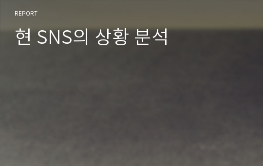 현 SNS의 상황 분석