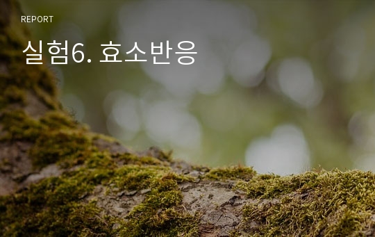 실험6. 효소반응