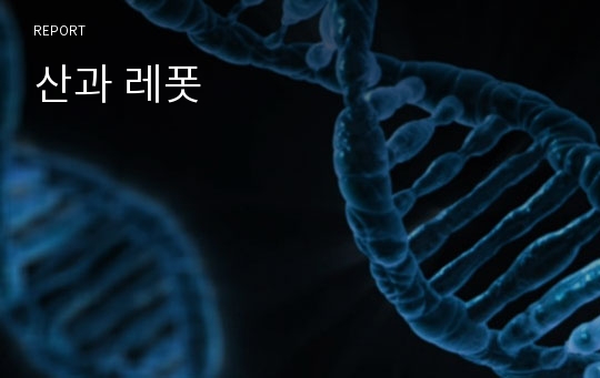 산과 레폿