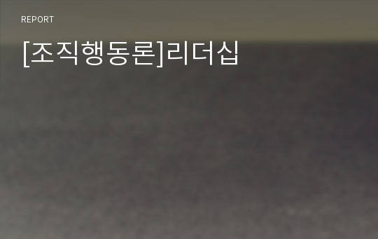 [조직행동론]리더십