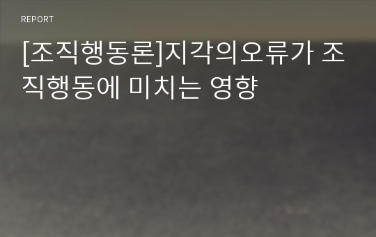 [조직행동론]지각의오류가 조직행동에 미치는 영향