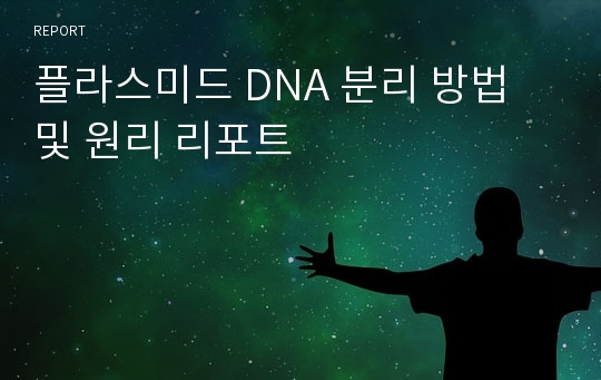 플라스미드 DNA 분리 방법 및 원리 리포트