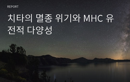 치타의 멸종 위기와 MHC 유전적 다양성