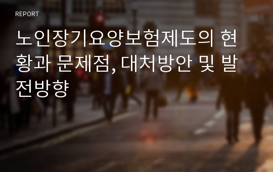 노인장기요양보험제도의 현황과 문제점, 대처방안 및 발전방향