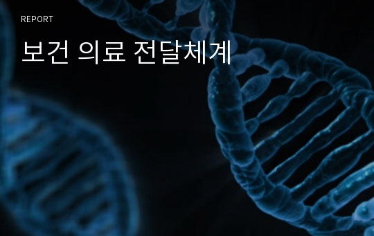 보건 의료 전달체계