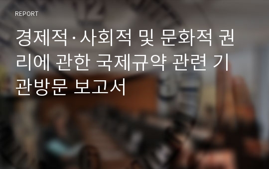 경제적·사회적 및 문화적 권리에 관한 국제규약 관련 기관방문 보고서