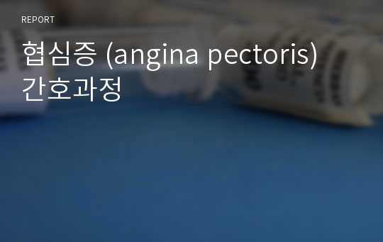 협심증 (angina pectoris) 간호과정
