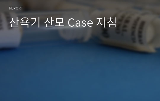 산욕기 산모 Case 지침