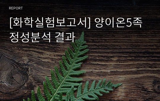 [화학실험보고서] 양이온5족 정성분석 결과